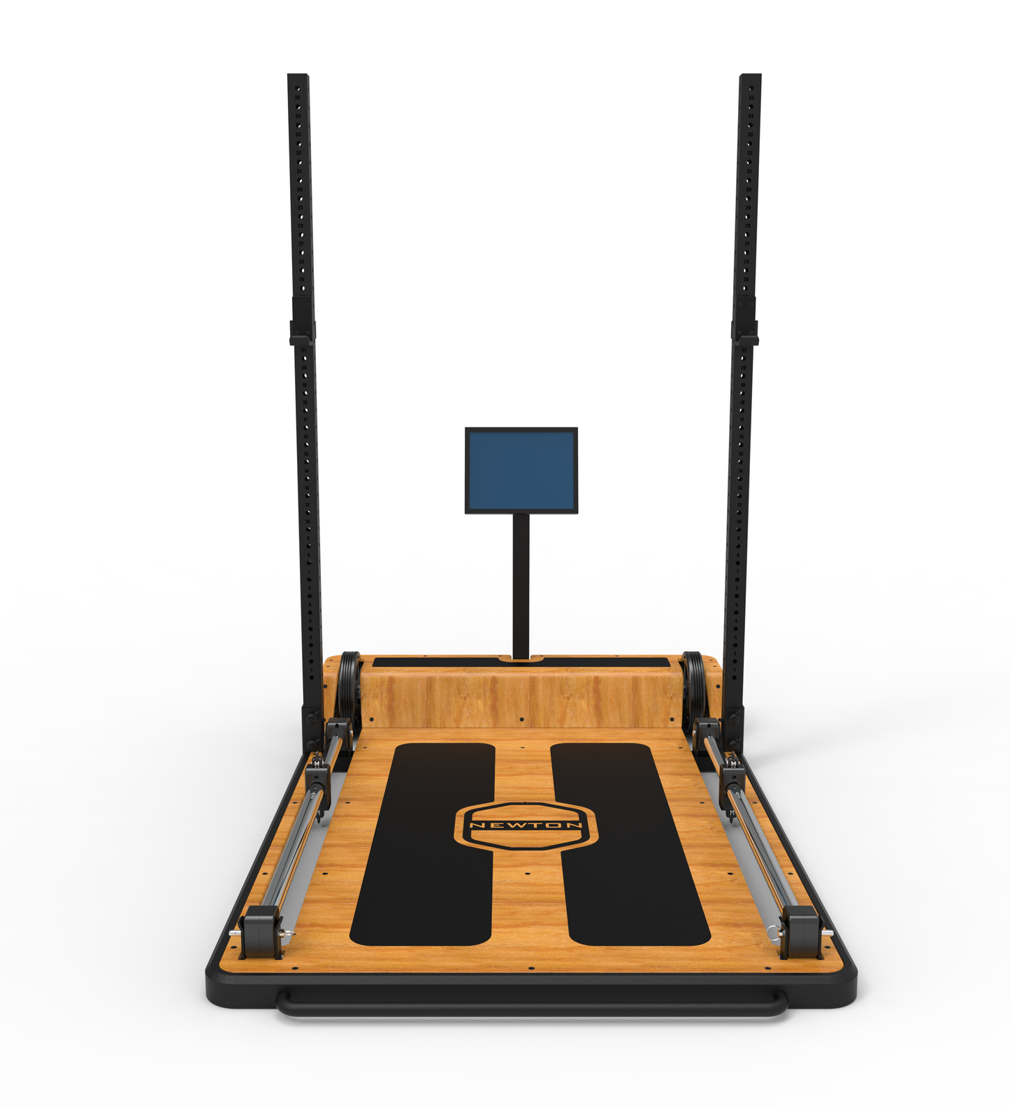 The Newton