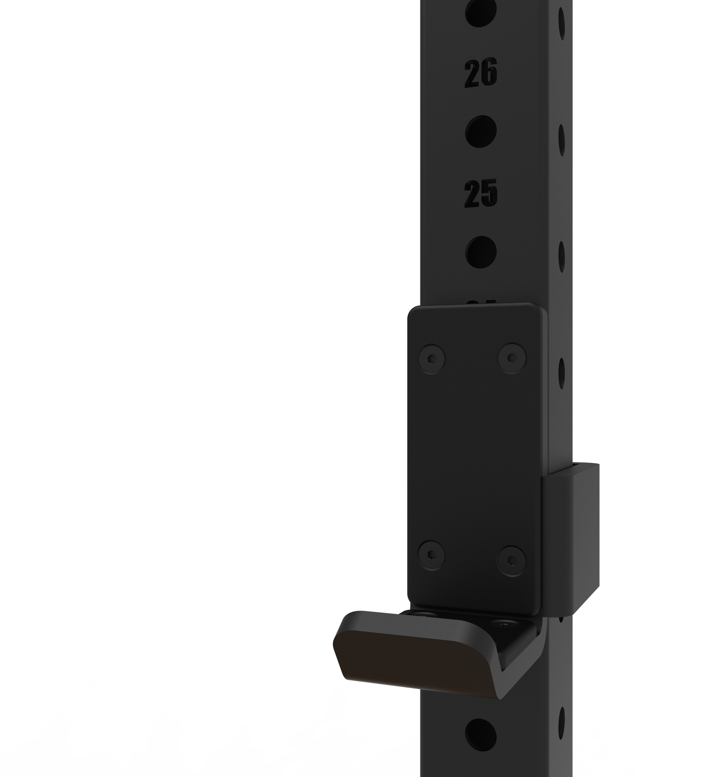 The Newton