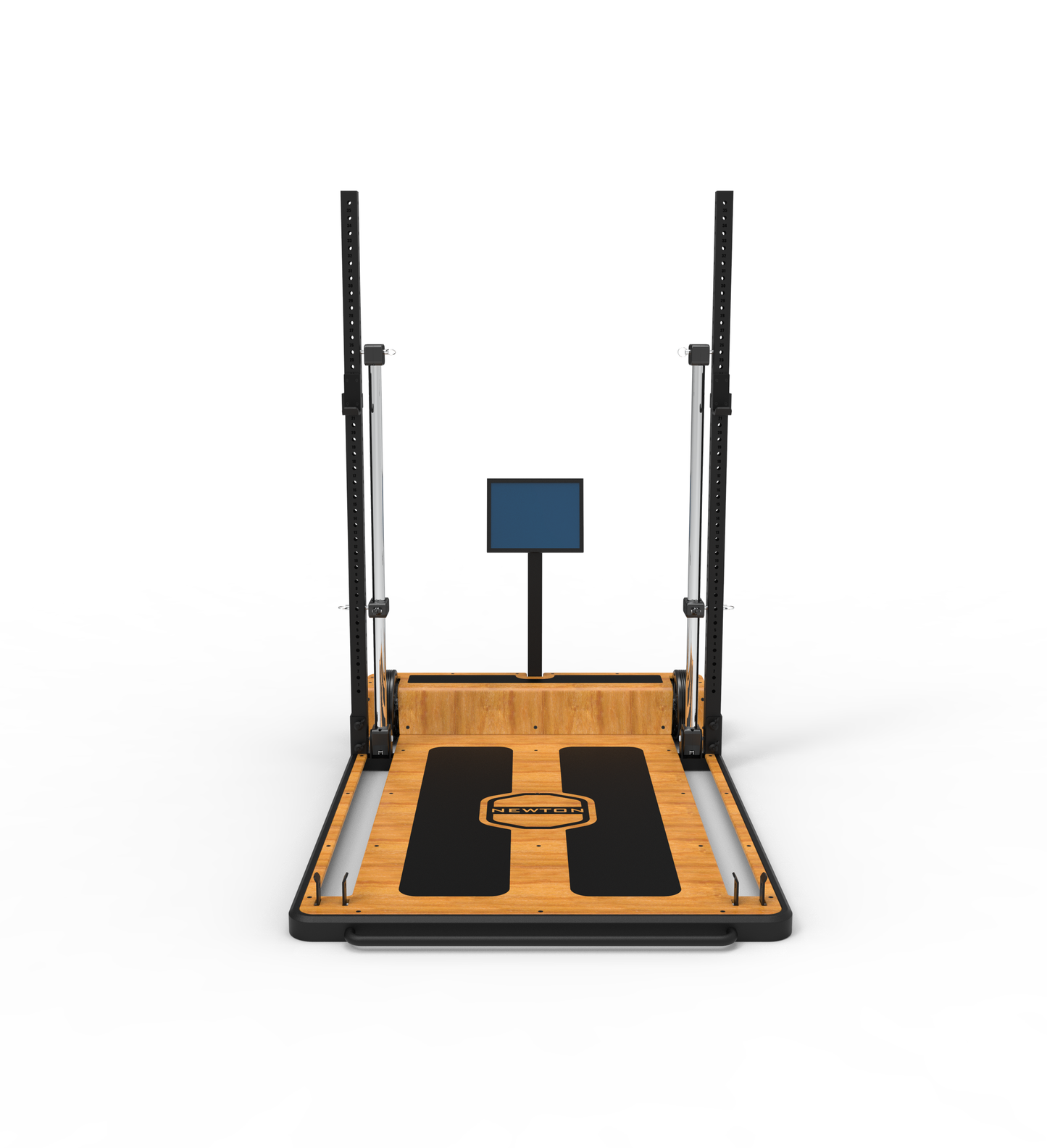 The Newton