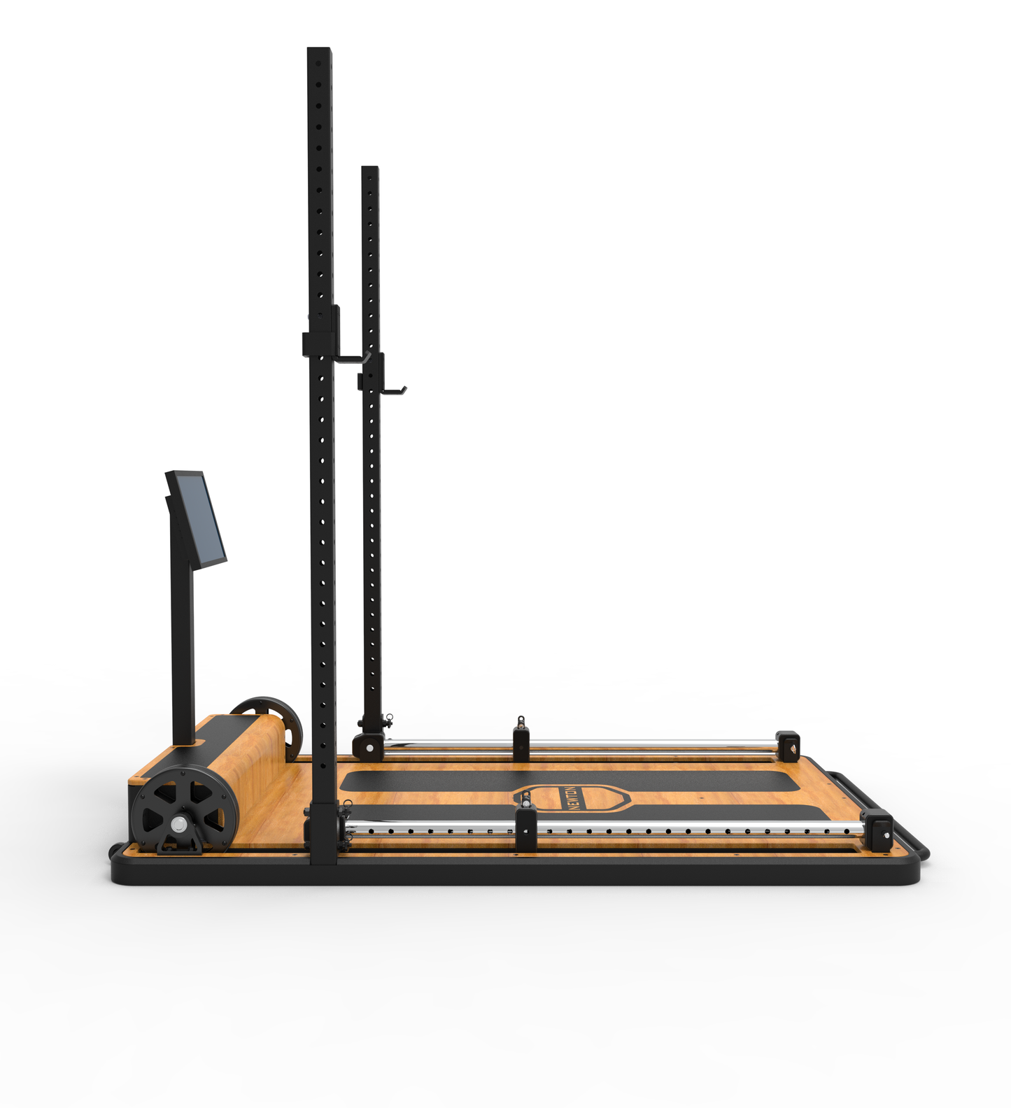 The Newton