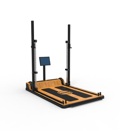 The Newton